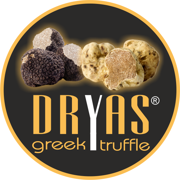 Dryas Greek Truffle